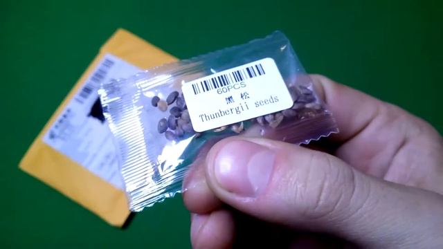 Семена Дерево бонсай японская сакура / сосновое дерево бонсай / sakura смотреть онлайн