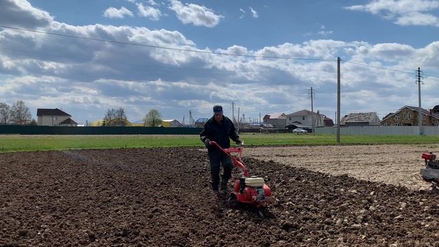 Фрезеруем участок 2 мотоблоками, подготовка к посадке картофеля смотреть онлайн