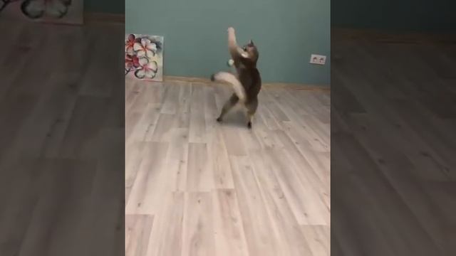 Мячик смотреть онлайн