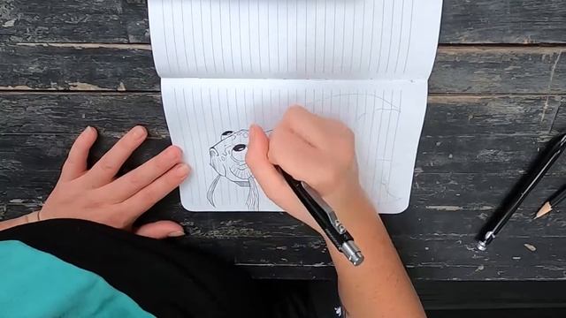 Fish Sketch with the Bolt V2 and Retrakt V2. смотреть онлайн