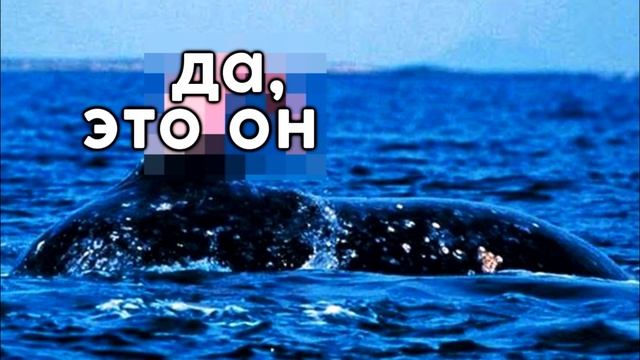 КАК МЫ ПОИГРАЛИ В DANGANRONPA [TarelkO] смотреть онлайн