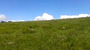 гора кобыла