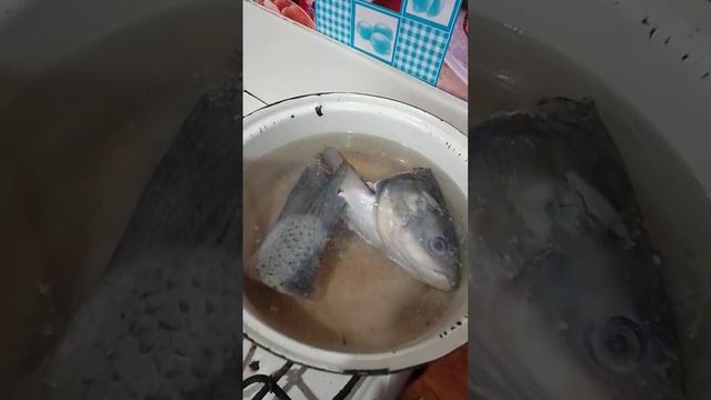 рыбная юшка из белого амура. смотреть онлайн