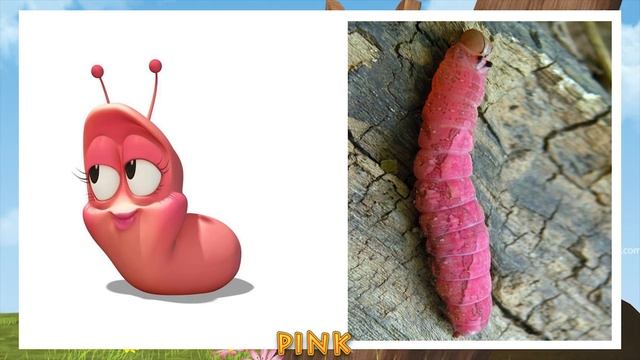 Larva Characters in Real Life смотреть онлайн