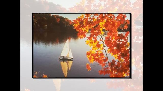 Осенний Luckyforum.avi смотреть онлайн