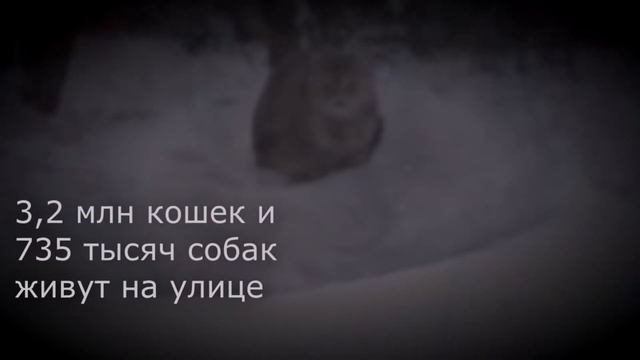 За что это ИМ? смотреть онлайн