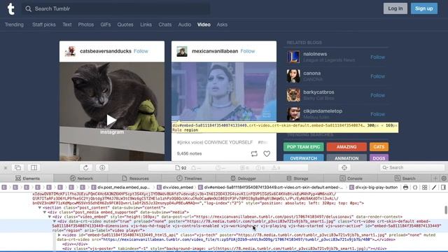How to dowload Tumblr videos on MacBook (02/18) смотреть онлайн