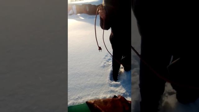 Воздушная заслонка примерзла ) 2023 02 06 /160744 смотреть онлайн