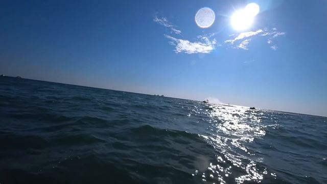 КАТАЕМСЯ НА КАТАМАРАНЕ. ЧЁРНОЕ МОРЕ 2019 смотреть онлайн