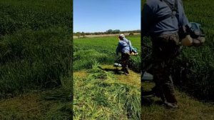 Как косить триммером и  экономить бензин