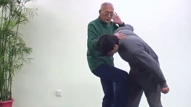 "BAGUA” Combat Techniques смотреть онлайн