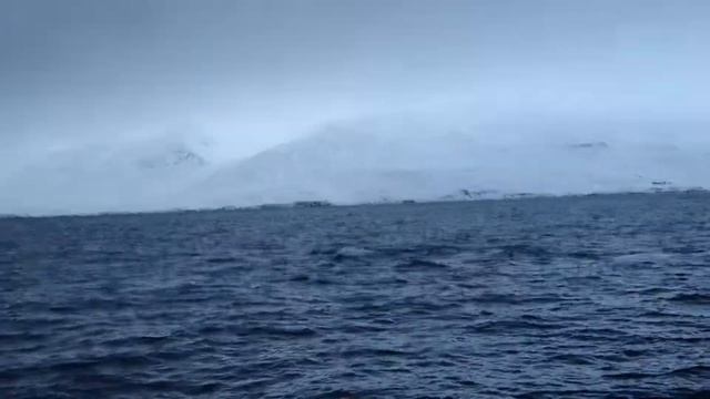 киты в Атлантическом океане, Whales in Atlantic ocean! смотреть онлайн