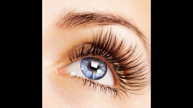 Для чего человеку нужны ресницы смотреть онлайн