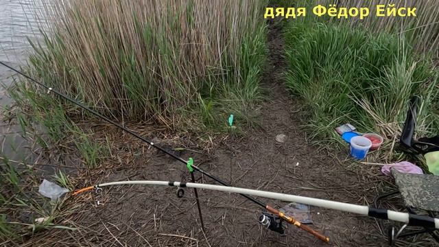 Удилища трещали от таких КАРАСЕЙ! Удачно попал. Рыбалка на КАРАСЯ. ОБЯЗАТЕЛЬНО ПОСМОТРИ! Д.Ф. Ейск смотреть онлайн