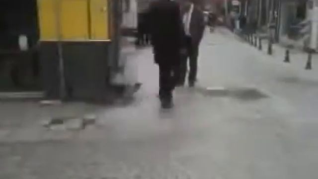Кот нападает на прохожих смотреть онлайн