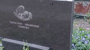 Лесное кладбище/ Обзор/2022