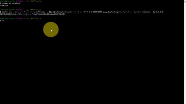 Tutorial Fenics Docker (Legacy) on Windows 10 with Jupyter смотреть онлайн