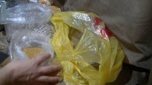 Где купить зерно для проращивания.