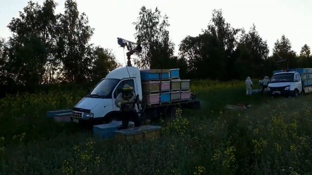 "Дарим мёд" смотреть онлайн