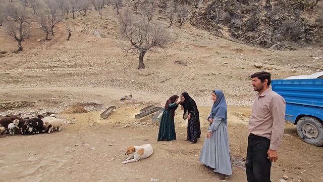 "The narrative of the Bekr family visit with the BID family and research on the Jamshid"🌨 смотреть онлайн