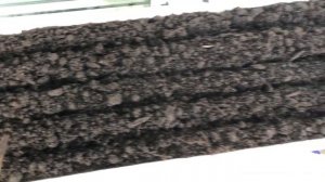 Посадка Зелени На Балконе | Домашний Огород На Балконе