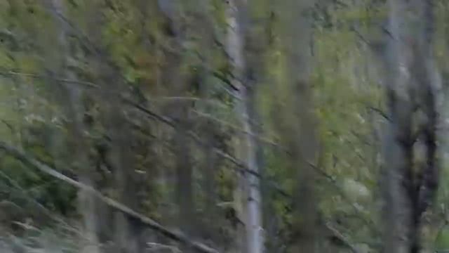 Нижневартовск. Ермаки. Погоня за Мишкой смотреть онлайн