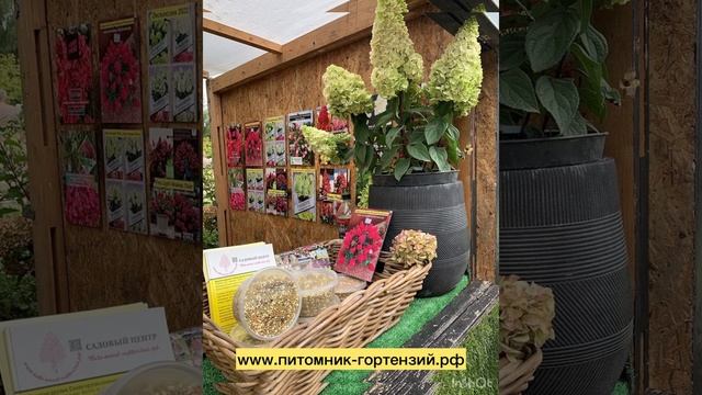 21-25 СЕНТЯБРЯ 2022 ФАЗЕНДА «Торговый дом Экспо м.Сокольники, ул.Русаковская, д.25, стр.1 смотреть онлайн