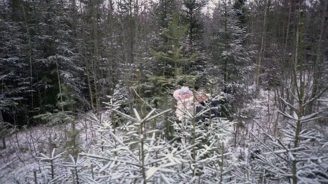 ЧЕМ ЗАМЕНИТЬ НОВОГОДНЮЮ ФОТОСЕССИЮ смотреть онлайн