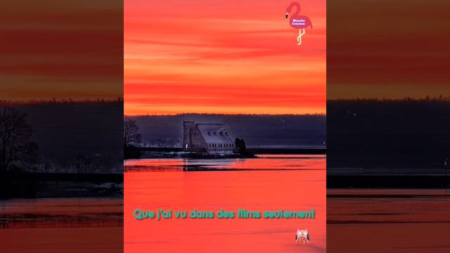 Quelque chose dans mon coeur Elsa 💕 смотреть онлайн