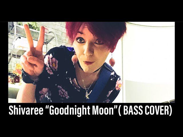 Shivaree “Goodnight Moon” (BASS COVER)