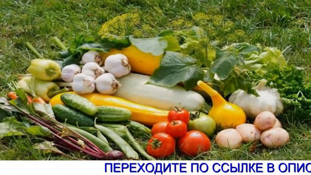Удобрение Agromax