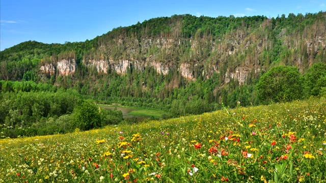 Луна в Тельце. Дополнение смотреть онлайн