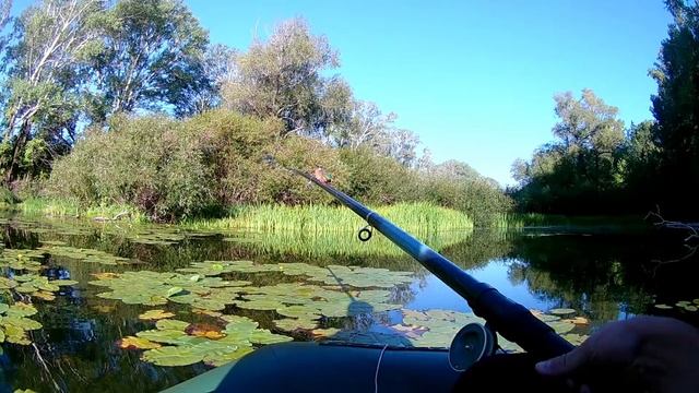 Смелая птица-зимородок села на удочку к рыбаку смотреть онлайн