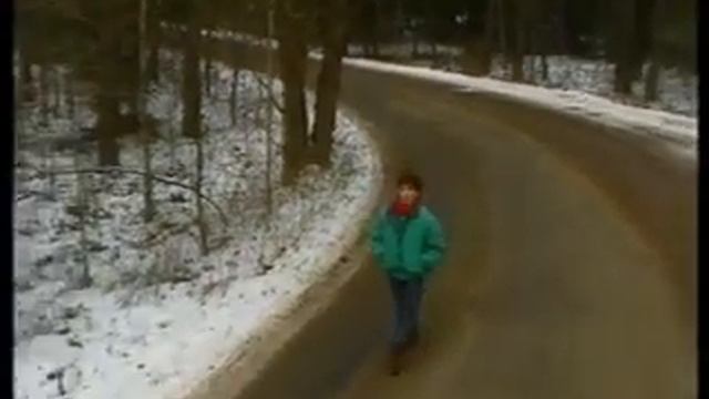 Ласковый Май - Старый Лес.flv смотреть онлайн