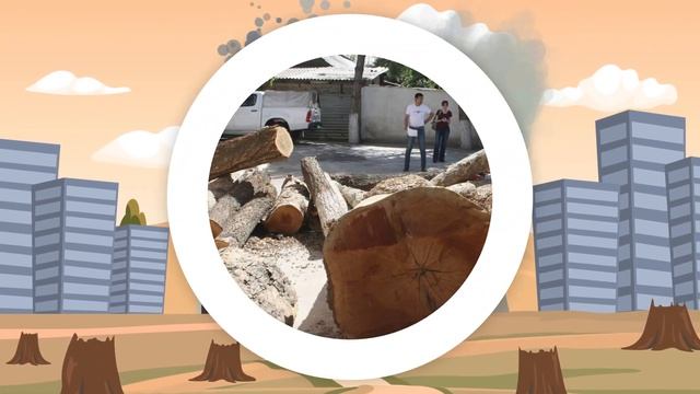 Роль деревьев для Узбекистана. Социальный ролик смотреть онлайн