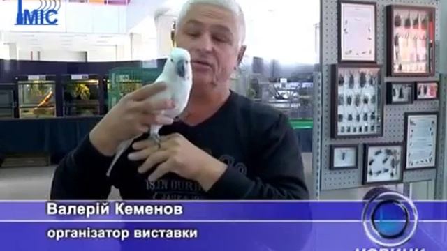Тропик-Парк "Чудеса природы" смотреть онлайн