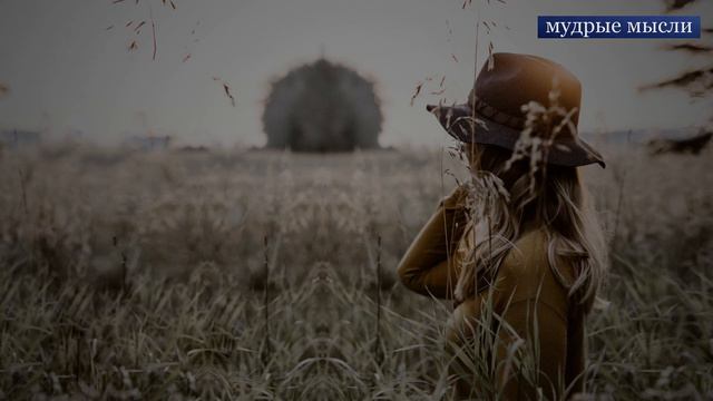 Мысли и Афоризмы | Мудрые Рассуждения о Жизни смотреть онлайн