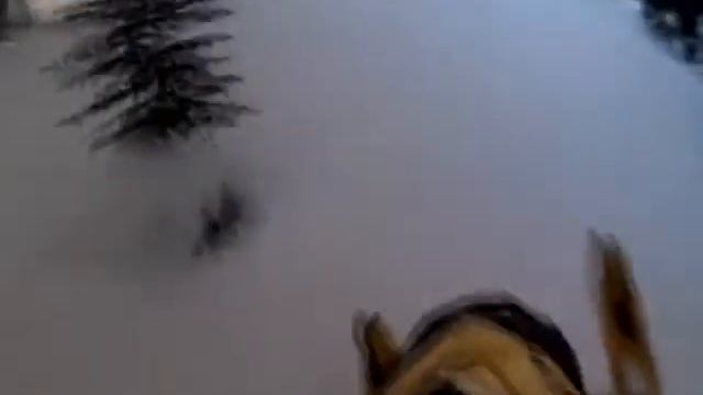 Приисковое белое золото. Приисковый смотреть онлайн