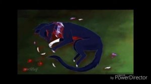 Коты воители. Смерть Звездоцапа + Смерть Бича