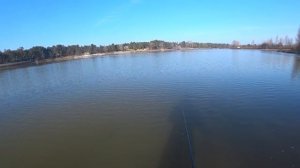 Секретные проводки на пассивного судака