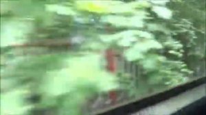 Московская детская железная дорога в Кратово