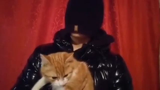 Котику нельзя, а ребёнку можно: о вакцинации несовершеннолетних смотреть онлайн