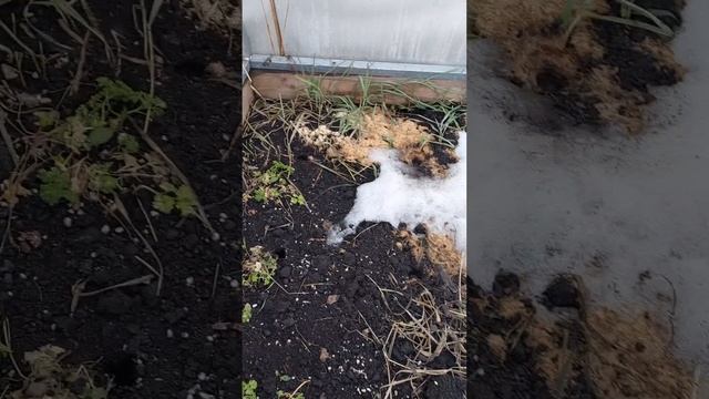 ВЕСНА БЛИЗКО.. смотреть онлайн