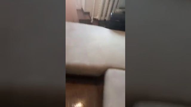 Обработка от тараканов и клопов в комнате гостиничного типа смотреть онлайн