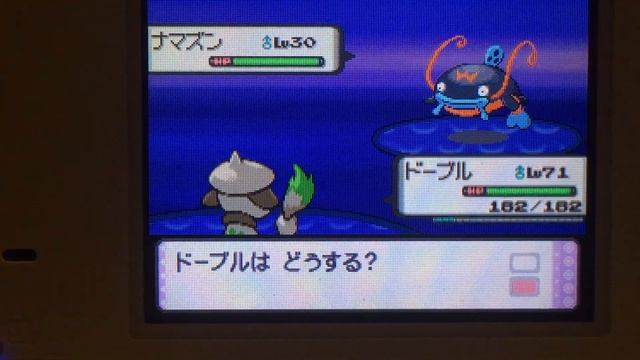 [LIVE] Shiny Whiscash in Pearl after 4,191 FEs (Phase 2) смотреть онлайн