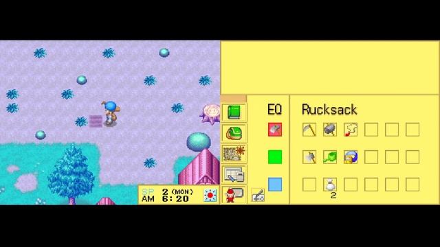 Harvest Moon DS - Anti-Piracy screen смотреть онлайн