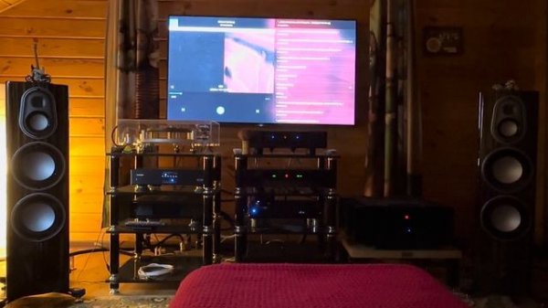 Test Monitor audio Platinum 300