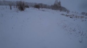 ОХОТА НА ЗАЙЦА В СНЕГОПАД.