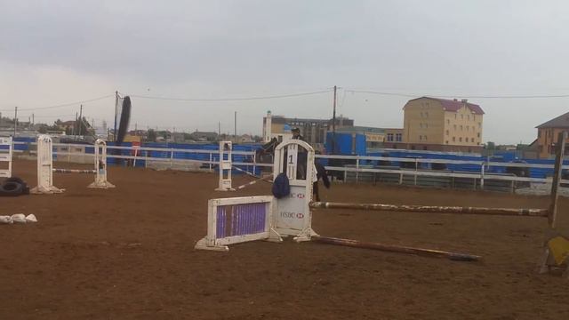 Конный спорт в Тулпаре смотреть онлайн