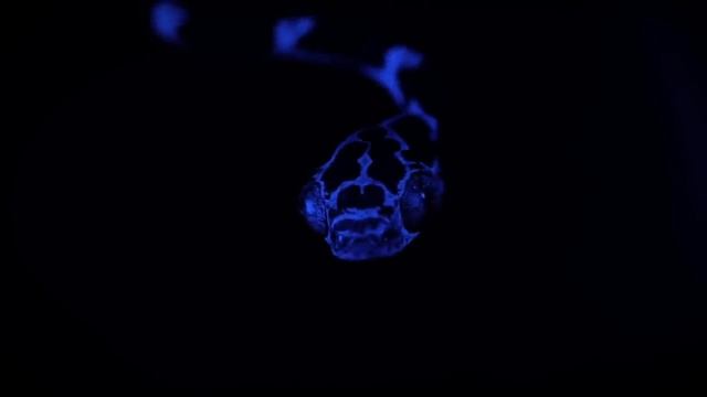 10 Choses Les Plus Effrayantes Vues Par Les Astronautes Dans L'espace. смотреть онлайн